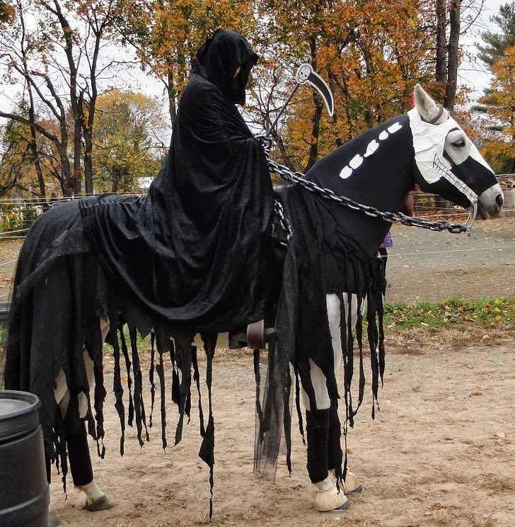 Halloween costumes for horses